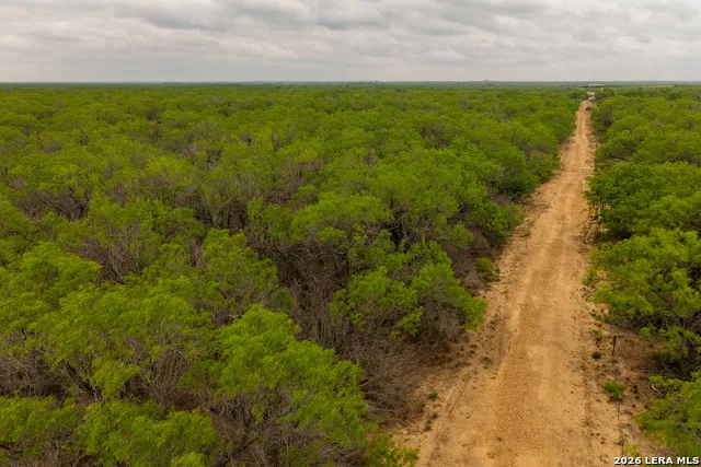 11 FM 1581 Pearsall, TX 78061