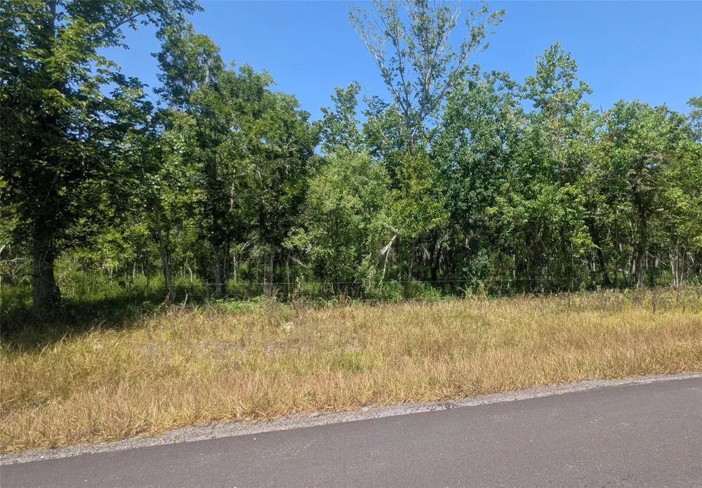 3 Sandpiper Rd/Cr 420 Angleton, TX 77515