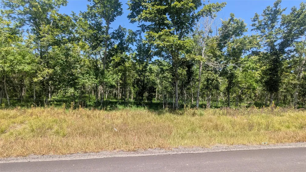 3 Sandpiper Rd/Cr 420 Angleton, TX 77515