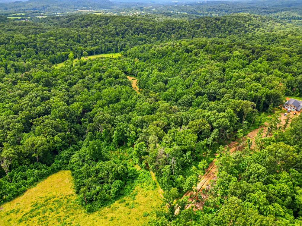 189 Bud Pvt Ln Cottontown, TN 37048