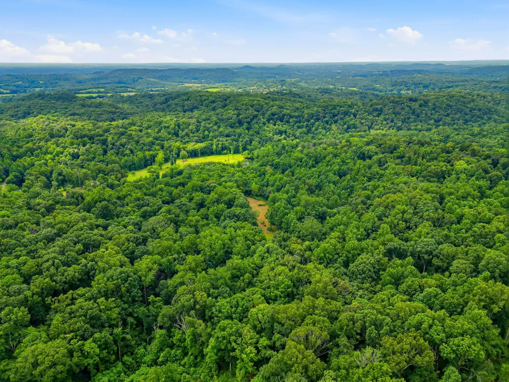 189 Bud Pvt Ln Cottontown, TN 37048