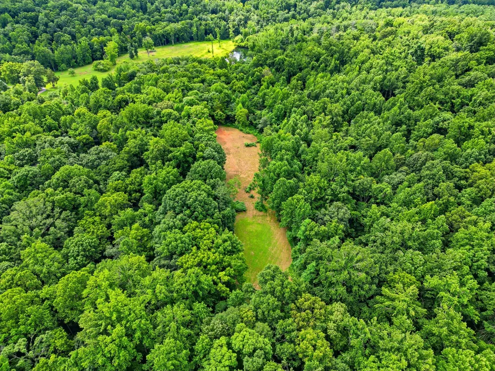 189 Bud Pvt Ln Cottontown, TN 37048
