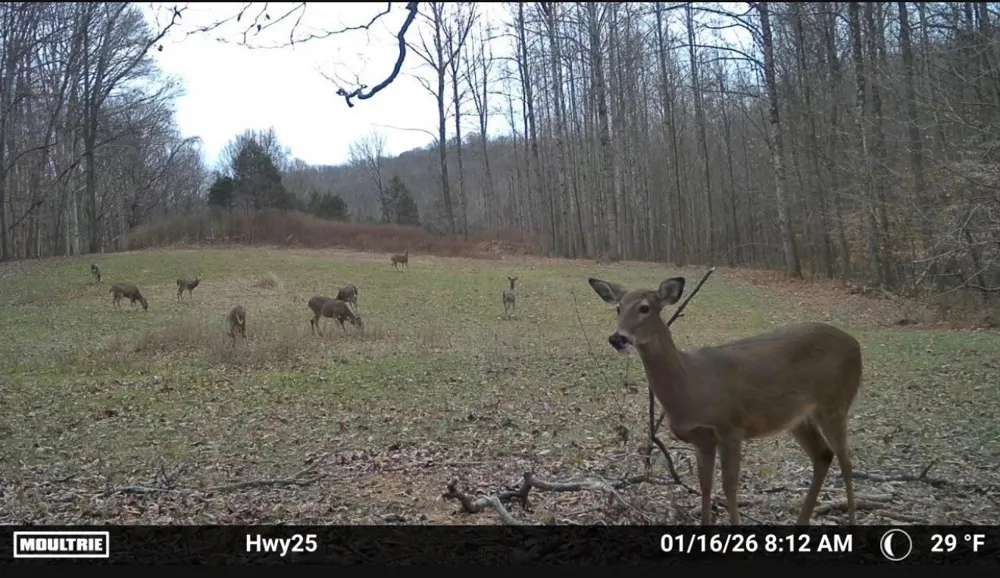 189 Bud Pvt Ln Cottontown, TN 37048