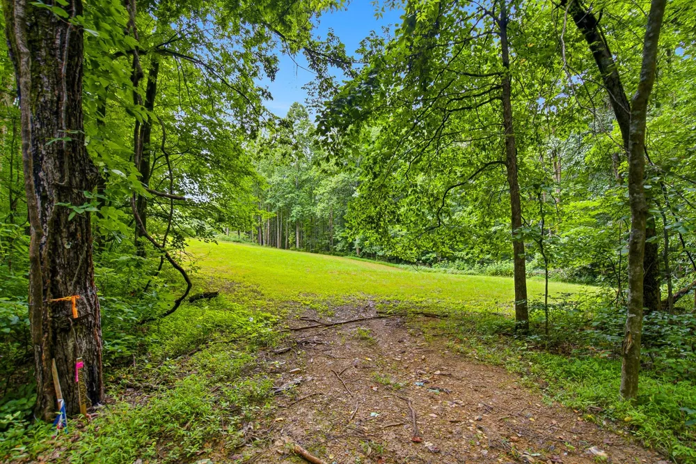 189 Bud Pvt Ln Cottontown, TN 37048