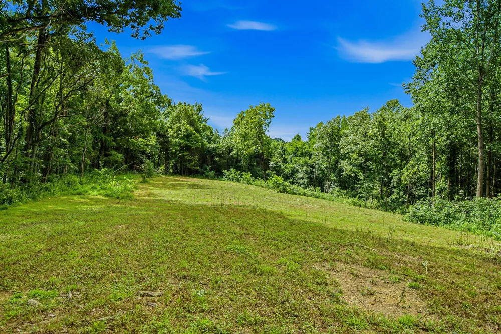 189 Bud Pvt Ln Cottontown, TN 37048
