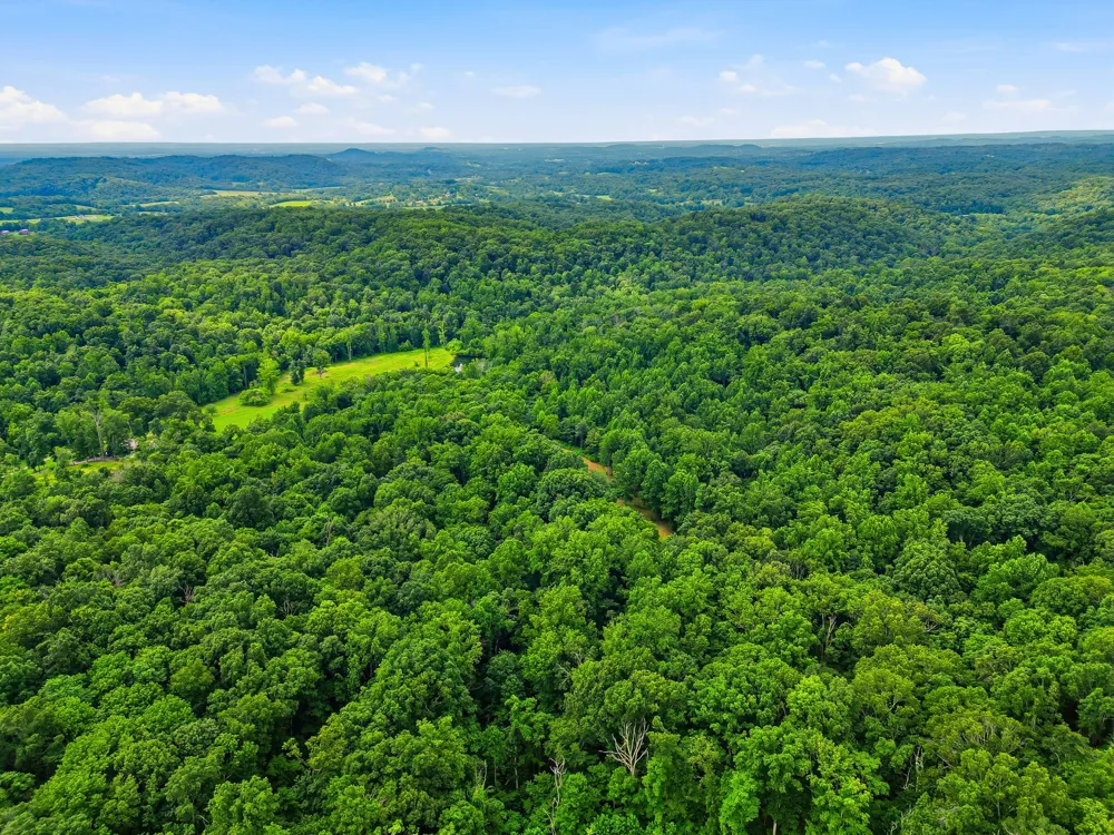 189 Bud Pvt Ln Cottontown, TN 37048