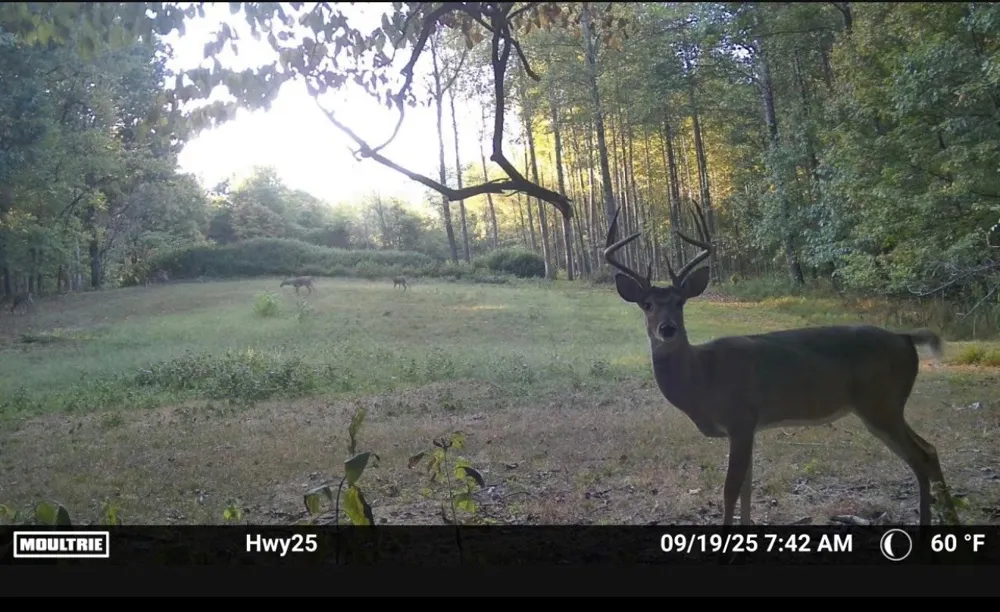 189 Bud Pvt Ln Cottontown, TN 37048