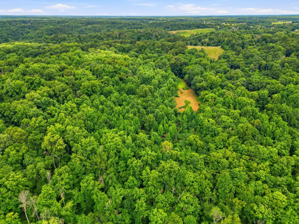 189 Bud Pvt Ln Cottontown, TN 37048