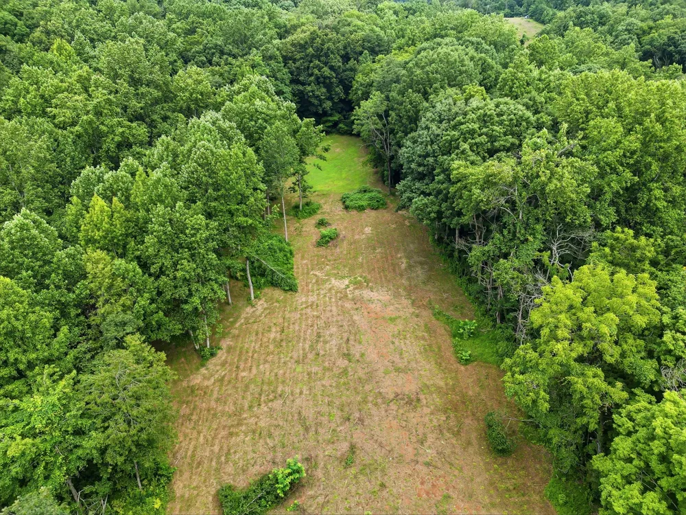 189 Bud Pvt Ln Cottontown, TN 37048