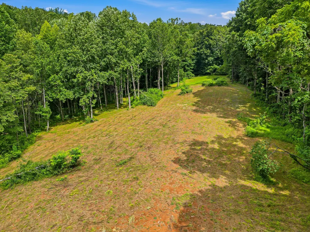 189 Bud Pvt Ln Cottontown, TN 37048