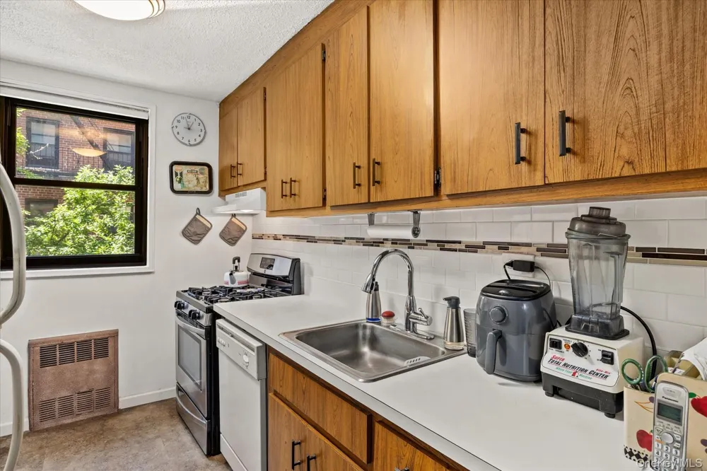 139-15 83rd Avenue #226 Briarwood, NY 11435