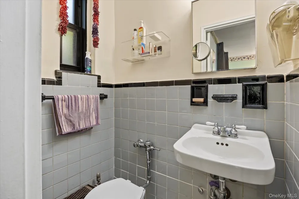 139-15 83rd Avenue #226 Briarwood, NY 11435