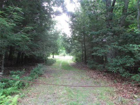 Fox Hill Road Tr 55