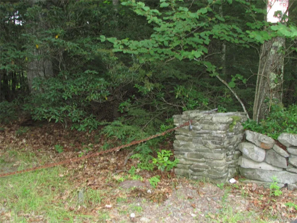 Fox Hill Road Tr 55 Mountain Dale, NY 12733