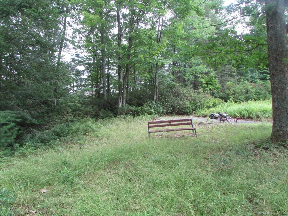 Fox Hill Road Tr 55 Mountain Dale, NY 12733