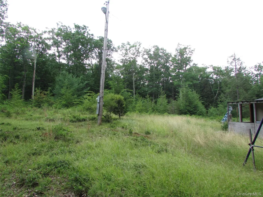 Fox Hill Road Tr 55 Mountain Dale, NY 12733