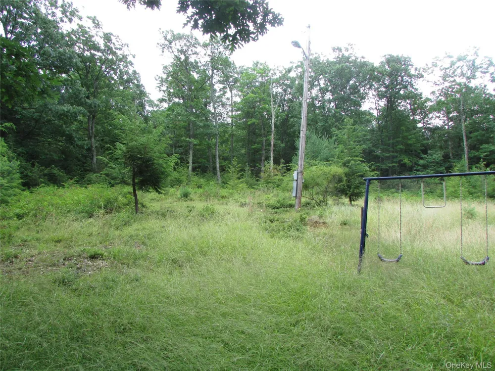 Fox Hill Road Tr 55 Mountain Dale, NY 12733