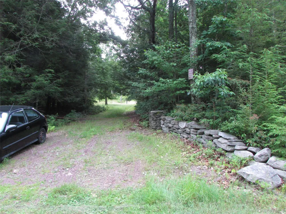 Fox Hill Road Tr 55 Mountain Dale, NY 12733