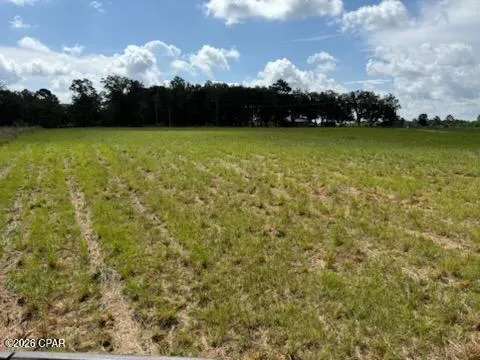 Walker Road Graceville, FL 32440