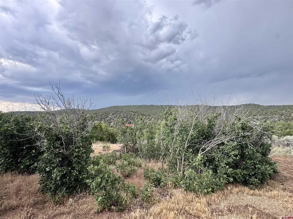16365 Road 30.7 Road Dolores, CO 81323