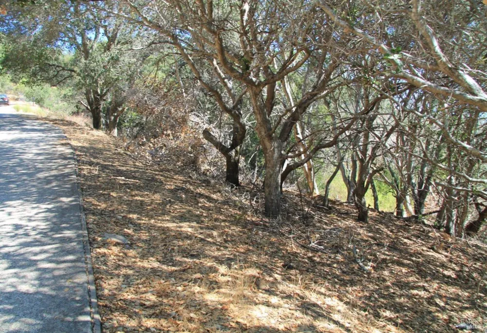 208 Pacheco Avenue Novato, CA 94947