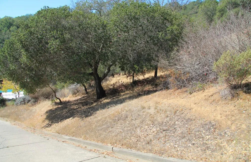 208 Pacheco Avenue Novato, CA 94947