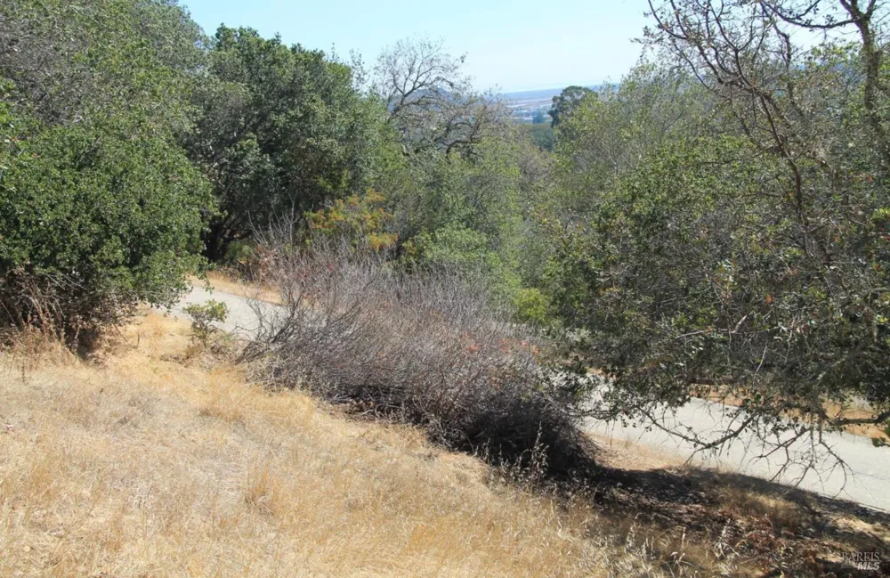 208 Pacheco Avenue Novato, CA 94947