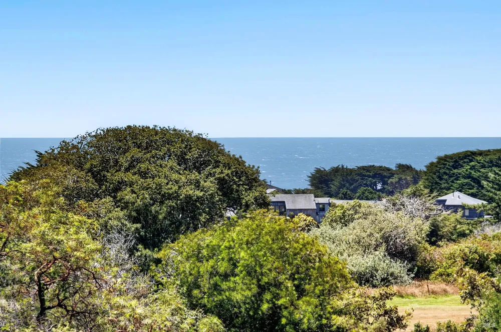 41289 Tallgrass The Sea Ranch, CA 95497