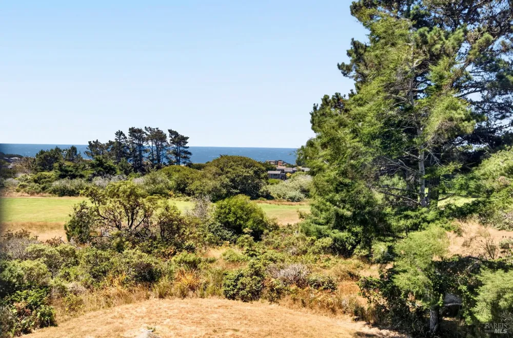 41289 Tallgrass The Sea Ranch, CA 95497