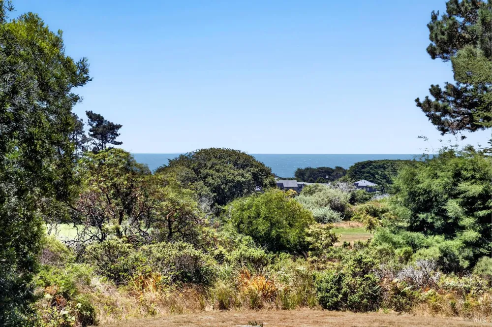 41289 Tallgrass The Sea Ranch, CA 95497