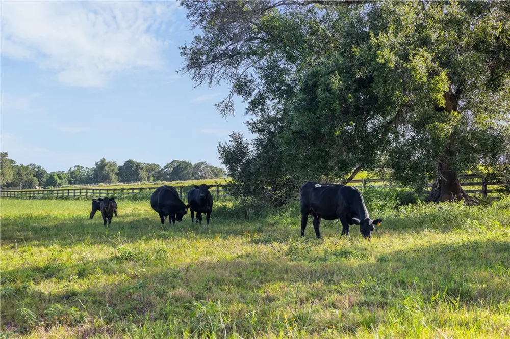4845 County Road 119 Caldwell, TX 77836