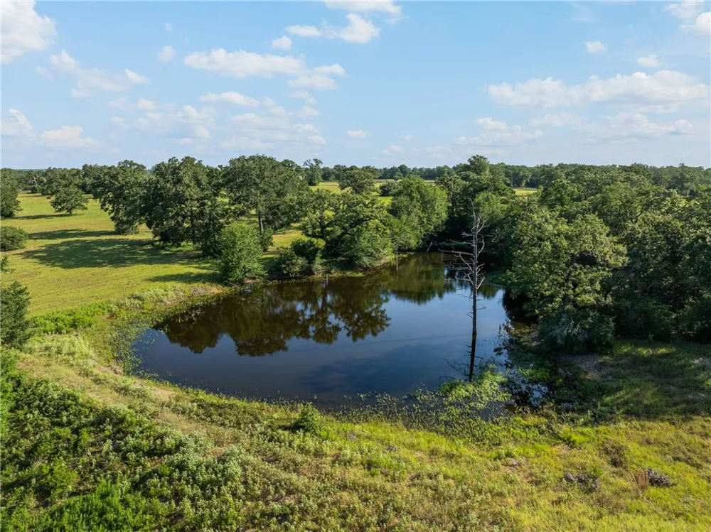 4845 County Road 119 Caldwell, TX 77836
