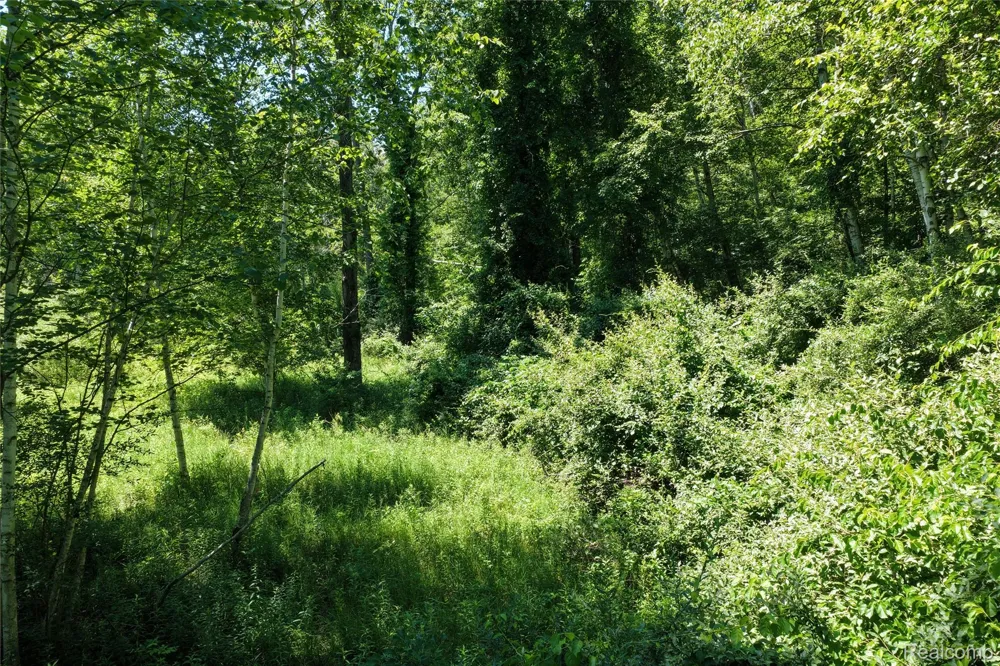 2898 Lakeshore Road Sanilac Township, MI 48401