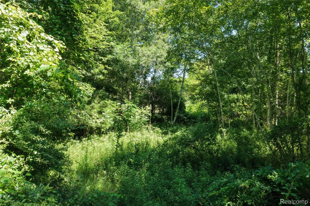 2898 Lakeshore Road Sanilac Township, MI 48401