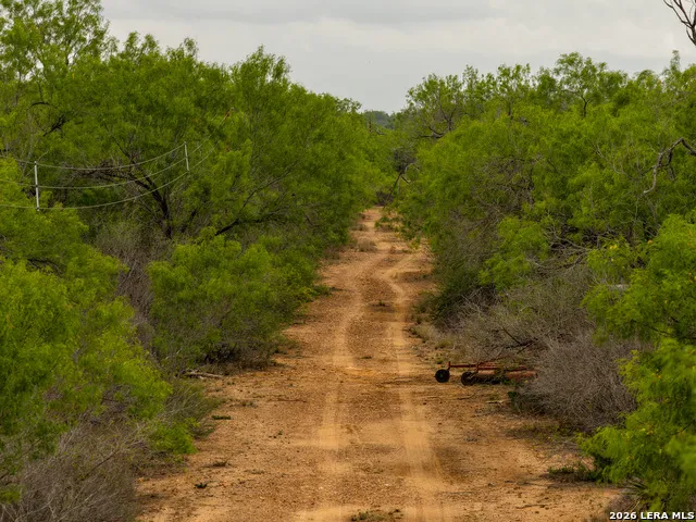 12 FM 1581 Pearsall, TX 78061