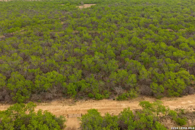 12 FM 1581 Pearsall, TX 78061