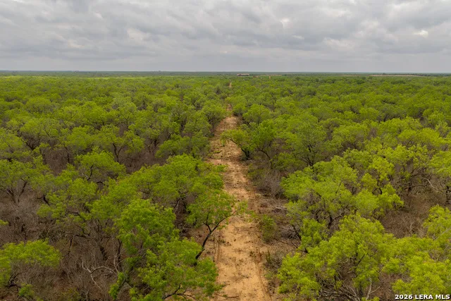 12 FM 1581 Pearsall, TX 78061