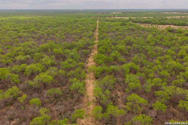 12 FM 1581 Pearsall, TX 78061
