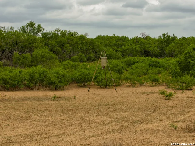 12 FM 1581 Pearsall, TX 78061