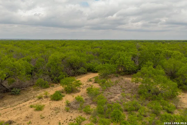 12 FM 1581 Pearsall, TX 78061