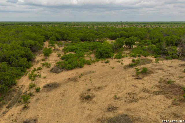 12 FM 1581 Pearsall, TX 78061