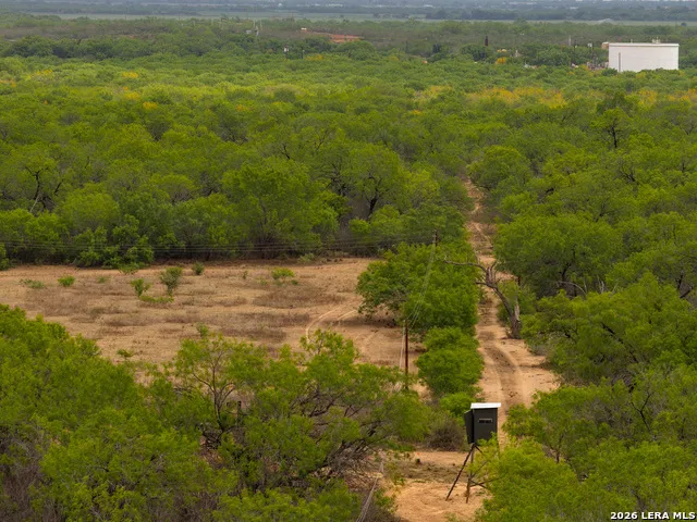 12 FM 1581 Pearsall, TX 78061