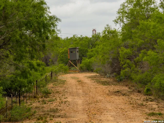 12 FM 1581 Pearsall, TX 78061