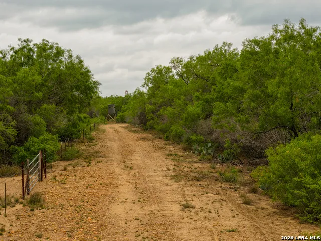 12 FM 1581 Pearsall, TX 78061