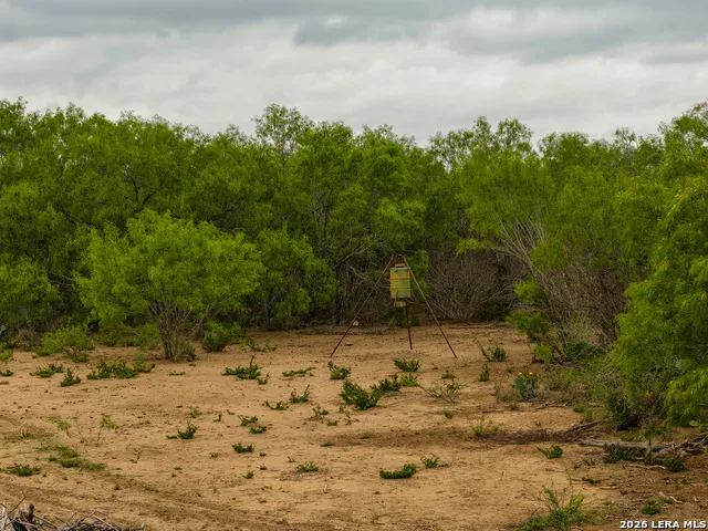 12 FM 1581 Pearsall, TX 78061
