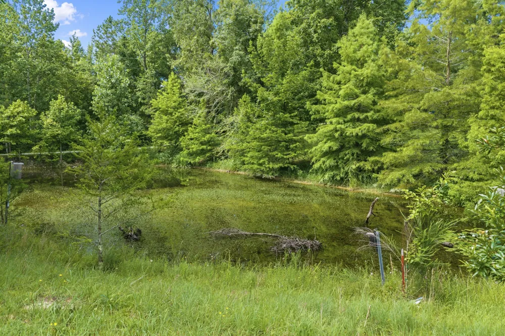 150 Beaver Ln Parsons, TN 38363