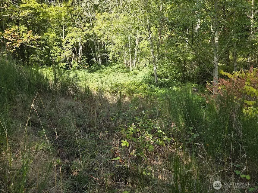 7002 Ocean Beach Highway Longview, WA 98632