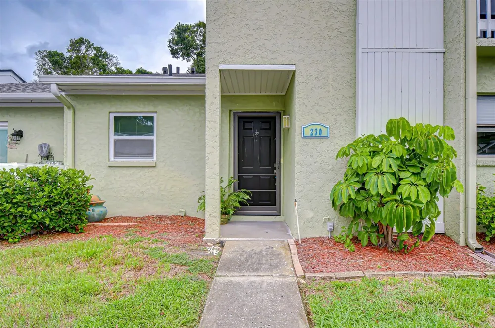 230 CYPRESS PLACE Oldsmar, FL 34677