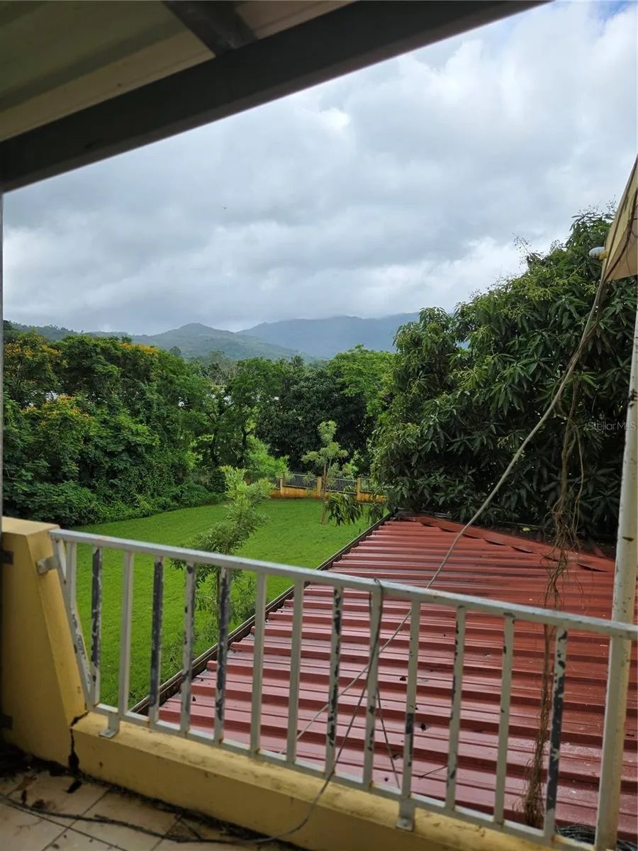 967 RAMAL JIMENEZ WARD KM 0.7 INT Rio Grande, PR 00745
