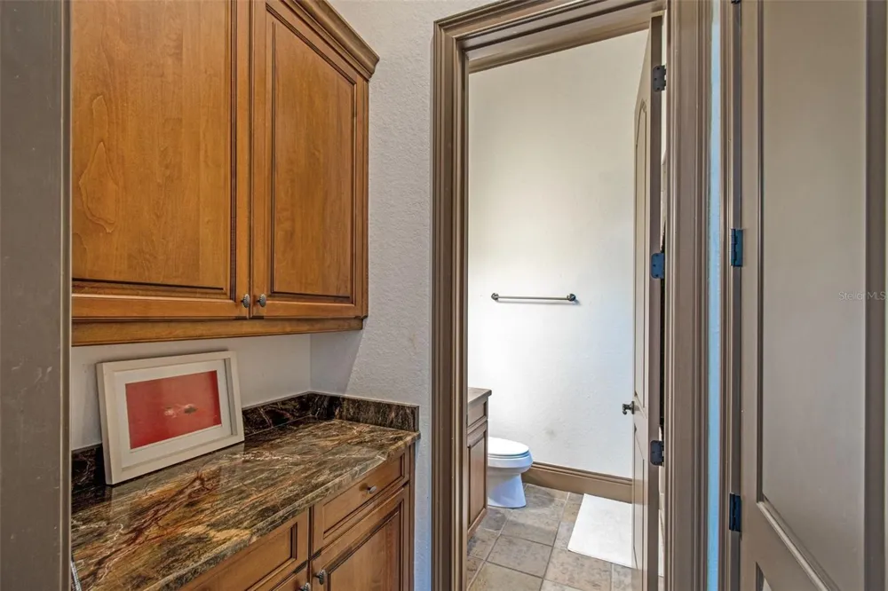 13250 BELLARIA CIRCLE Windermere, FL 34786